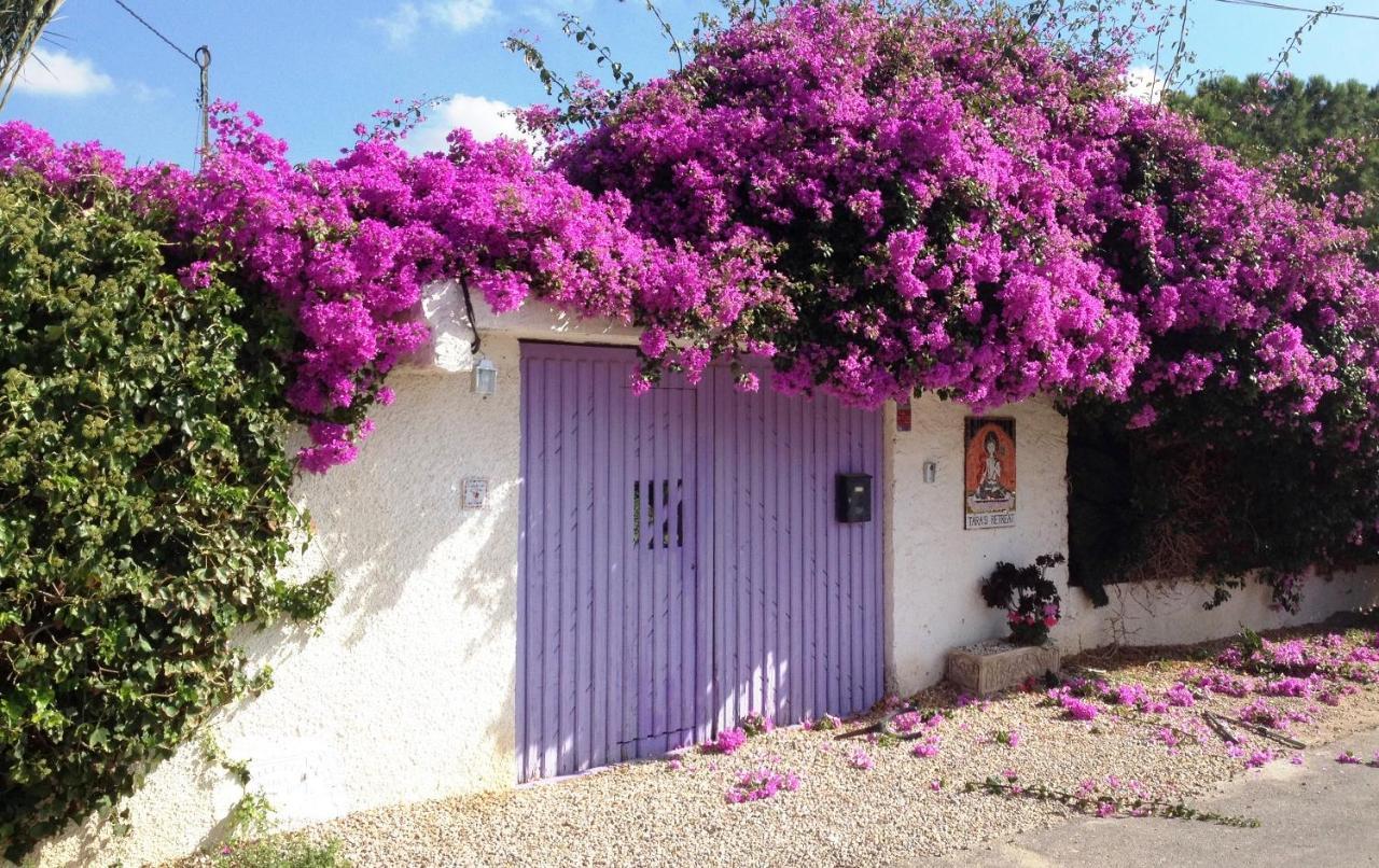 Hotel Tara Casa à Carthagène Extérieur photo